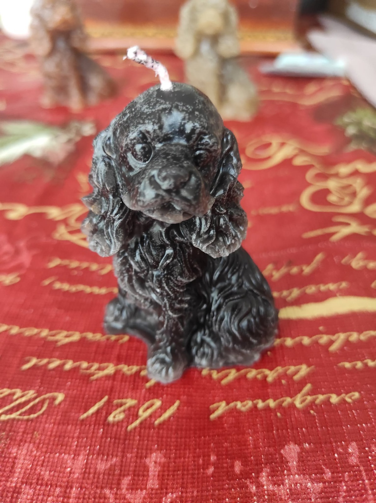 vela de perrito negro